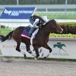 Omaha Beach’s Career Finale Bittersweet